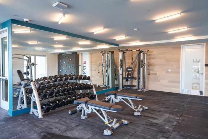 fitness center with weights in austin tx pet friendly apartments